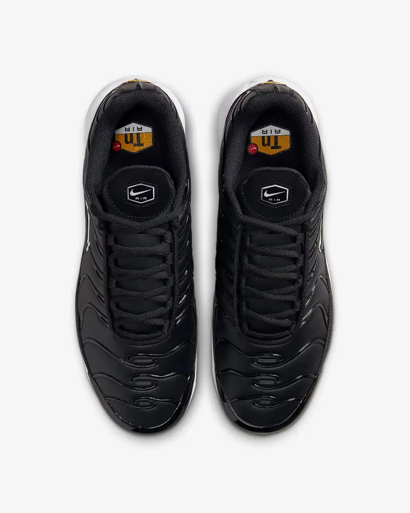 NIKEAIRMAXPLUSG (1).webp