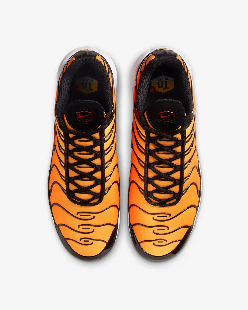 NIKEAIRMAXPLUSG (1).webp